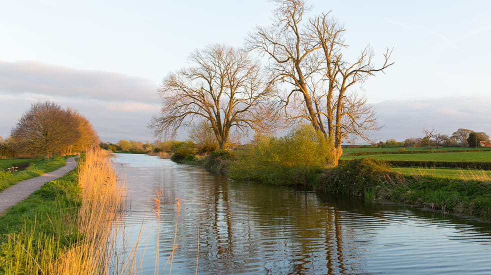 The best free family days out in Somerset - Bridgwater and Taunton canal